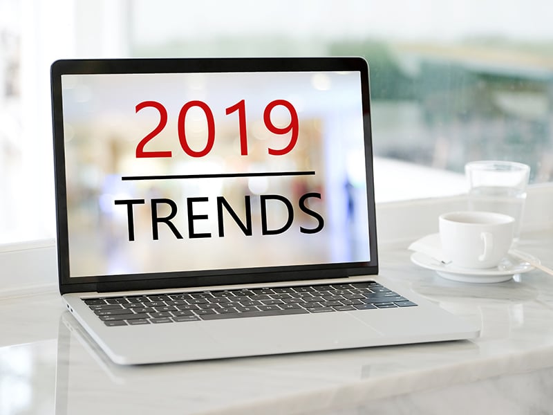 Read 7 Web Design Trends to Follow in 2019