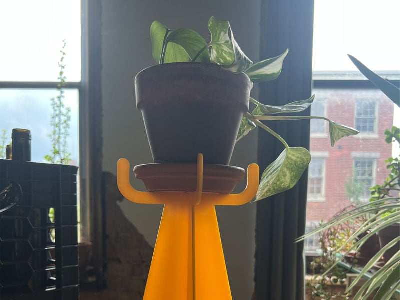 Pothos plant on a Moodio stand in our office