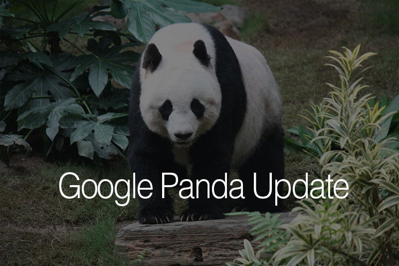 Read Google's Panda Now Integrated into Algorithm