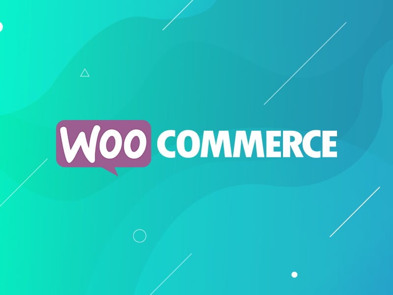 Read A Guide to the Basic Features of Woocommerce