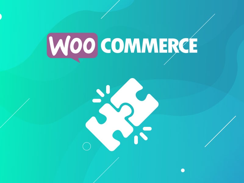 Read 15 Must-Use Woocommerce Plugins