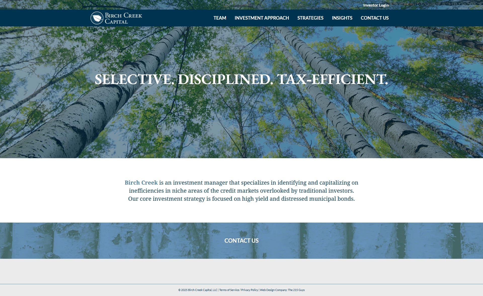 Birch Creek Capital Web Design