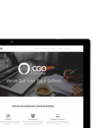 CGO Consulting Portfolio