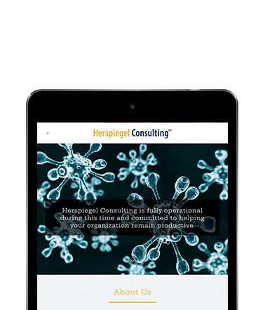Herspiegel Consulting Portfolio