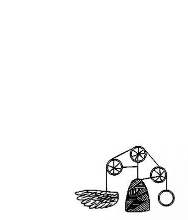 Pig Iron Portfolio