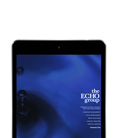 The Echo Group Portfolio