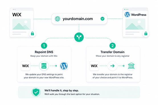 Illustration showing two domain options, repointing DNS or transferring the domain off Wix