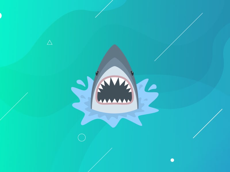 Read 8 Website Tips for Companies on Shark Tank - Survive the Shark Tank Effect