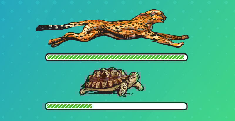 fast Cheetah vs slow Turtle