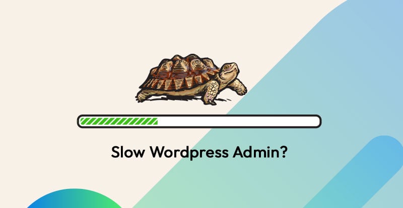 Turtle with slow loading bar with text Slow wordpress admin?
